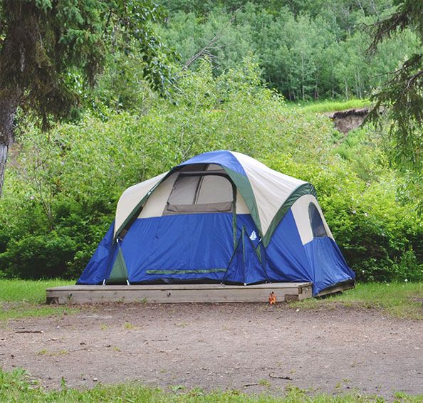 Use Online Request Form